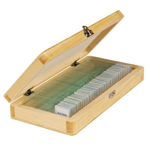 50 prepared microscope slides with wooden storage box in basic science set a for sale