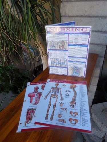 ~Perma-Chart Quick Reference Guides~Skeletal/Muscular &amp; Nursing~Used~
