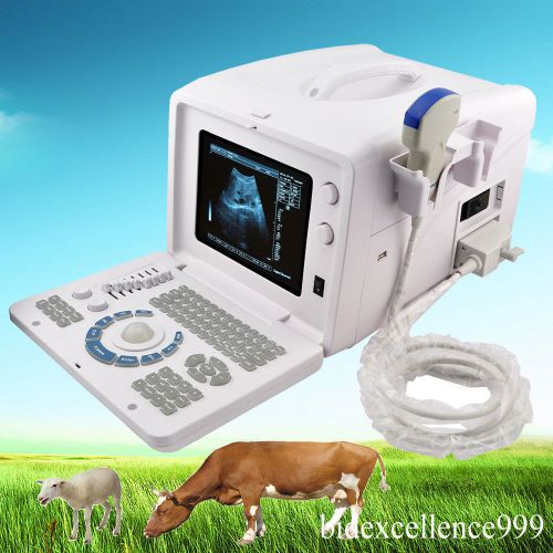 Veterinary 3D Portable Digital Ultrasound Machine Scanner 3.5Mhz Convex Probe