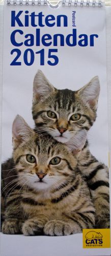 Cats Protection official Kitten Calendar 2015