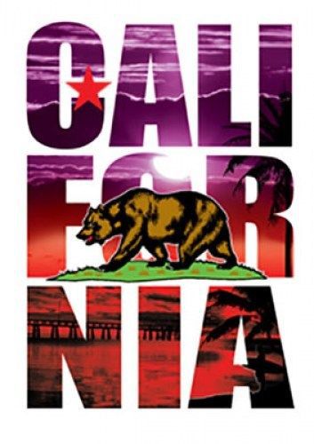 CALIFORNIA REPUBLIC RED BEACH STYLE 3 PACK - 9x12 PLASTISOL HEAT PRESS TRANSFERS