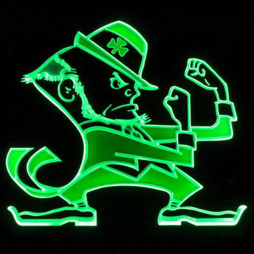 ZLD019 Green Notre Dame Fighting Irish Beer PUB Bar Display LED Light Sign Neon