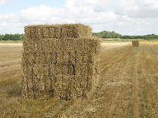 Wheat straw bale Stoke on trent delivery available