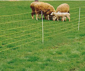 RAIDEX Sheep Marking Spray - Green