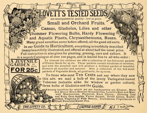 1895 ad lovett company seeds little silver new jersey - original mun1 for sale