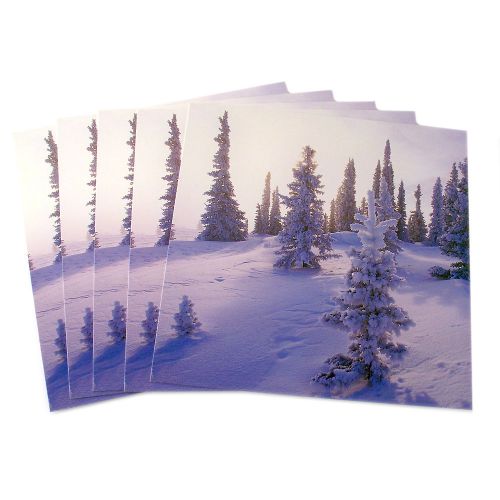 Set of 12” Winter Snow Display Cube Frame Panel Picture Insert Decoration 36435