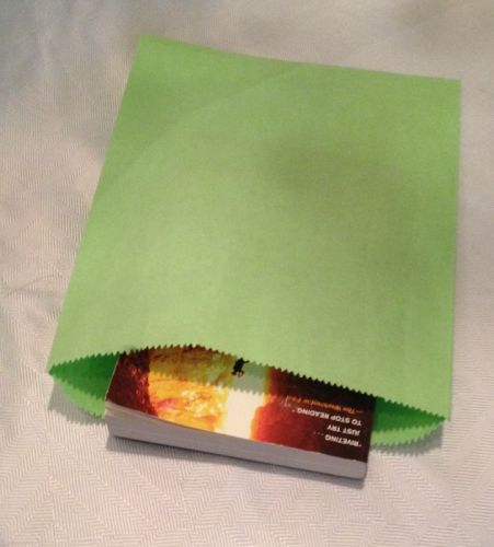 100 New Lime Green Party Favor/ Merchandise Paper Bags