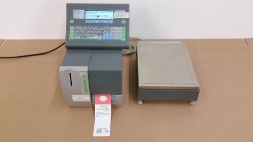 Bizerba GT 240 Programable Terminal w/ GLP Thermal Label Printer &amp; Scale