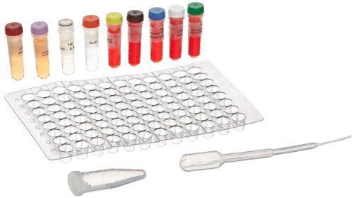 New edvotek 140 edva7 blood typing kit for 10 lab groups for sale
