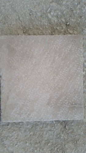 Antique Trani Stone and Marble