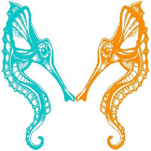 30 Custom Beach Sea Horses Personalized Address Labels