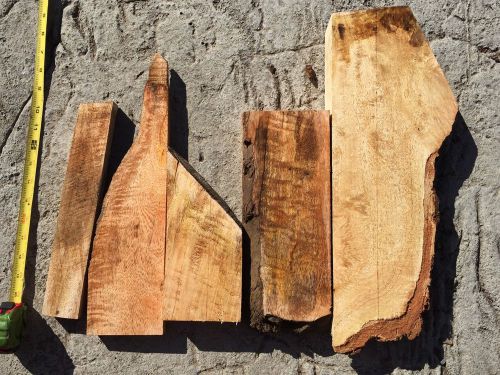 Curly spalted reclaimed hawaiian mango wood five pieces 8-18&#034;x1-4x1-2&#034; for sale