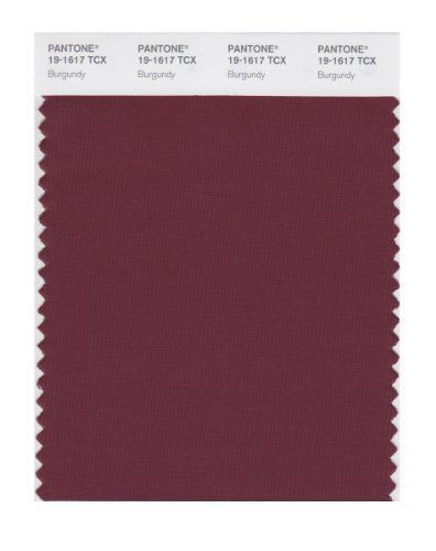 PANTONE SMART 19-1617X Color Swatch Card, Burgundy