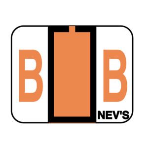 NEV&#039;S XA-T-B Tabbie - Filing Labels - Large - Letter B 1&#034; x 1-1/4&#034; Flr Orange
