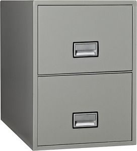 Phoenix Vertical 25 Inch 2-Drawer Legal Fireproof File Cabinet with Water Seal,