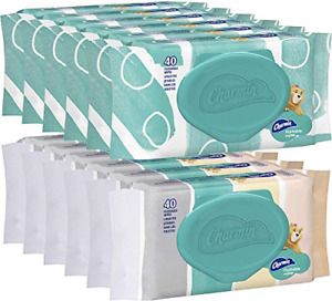 Charmin Flushable Wipes, 12 packs, 40 Wipes Per Pack, 480 Wipes Total