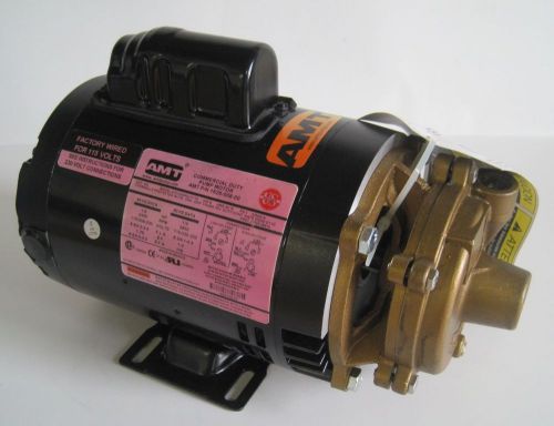 AMT Straight Centrifugal Bronze Pump Motor Assy 33GPM 3680-975-97