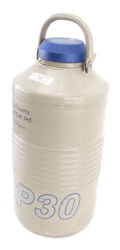 Taylor-wharton cp30 dewar vacuum-flask liquid nitrogen storage container tank for sale