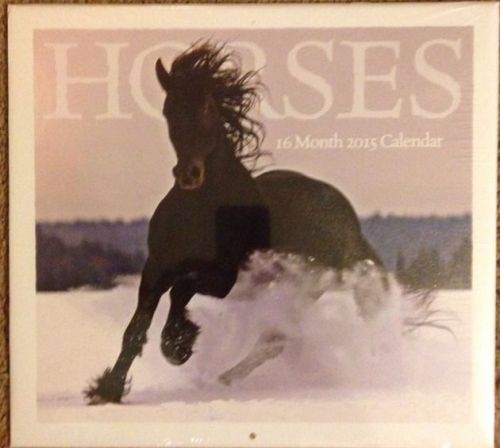 2015 Calendar Horses : In The Wild Wall Calendar 16 Month SEALED.