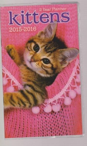 Kittens 2 Year Planner 2015-2016 Cats Vinyl Cover Studio 18 Calendar