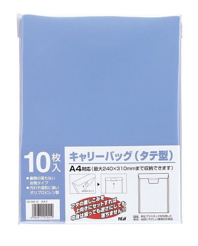 Teji  Carry Bag 10 Pack Sky CC-342-13 Japan