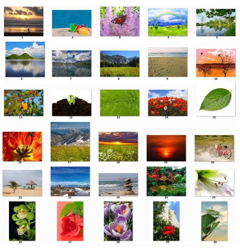 30 Personalized Return Address Labels Scenic Pictures choose one picture