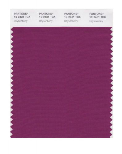 NEW PANTONE SMART 19-2431X Color Swatch Card, Boysenberry