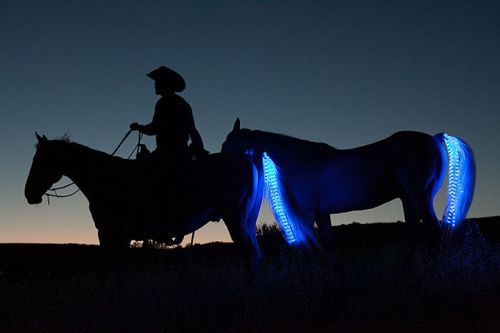 ____HORSE__Lights _____ Creative Lighting____ LED Cree Saddle riding maine tail