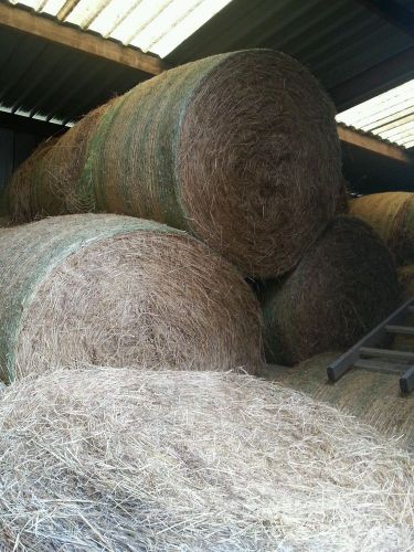 Round hay bales 2013