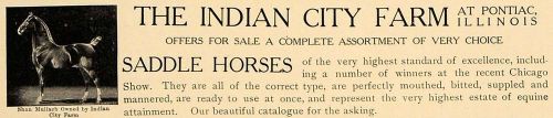 1906 ad indian city farm il saddle horses shan mullagh - original cl8 for sale