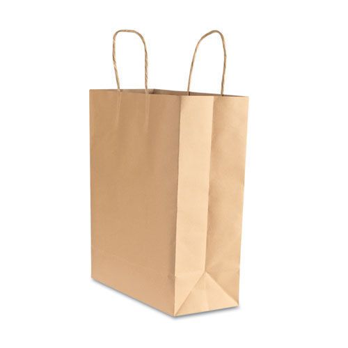 Consolidated stamp premium small brown paper shopping bag. sold as case of 50 for sale