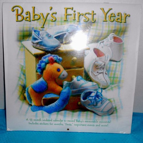 BABY&#039;S FIRST YEAR 13-Month Undated Calendar to Record Baby&#039;s Memorable Moments