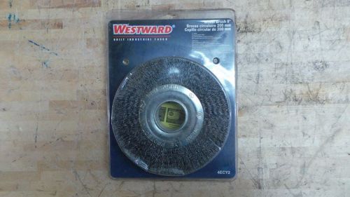 Westward 8 in brush dia 4500 max rpm crimped wire wheel brush for sale