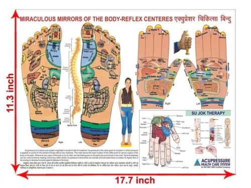 Foot &amp; Hand Reflexology Chart - Study Academics Teaching Educational
