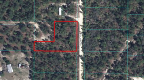 Big Untouched Lot in Marion County - #014113