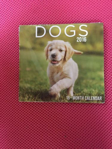 2016 Puppy Calendar MINI 16 Month
