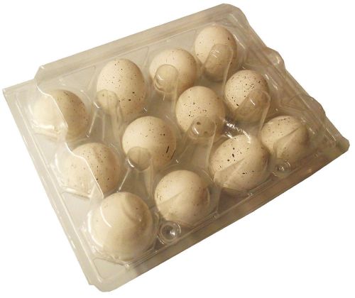200 pack rite farm product 12 egg clear poly quail carton tray bobwhite coturnix for sale