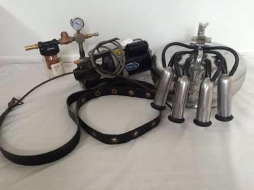Budget system complete surge belly portable milker w/ vacuum pump for sale