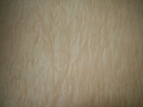 birdseye maple veneer 4 @ 11 x 40 [7151