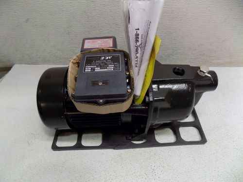 Ace well pump  1hp, 60hz, 12.6 amps, 115/230 volts (ace ts10) for sale