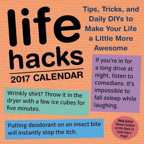 2017 Life Hacks Day-to-Day Calendar