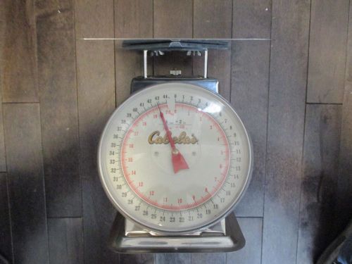 44 LB. DIAL PLATFORM SCALE Stainless Steel Cabela&#039;s ~