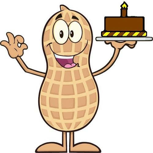 30 Custom Birthday Peanut Personalized Address Labels