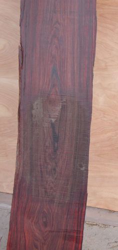 #31 Exotic wood, Cocobolo Rosewood, bright red and black veined