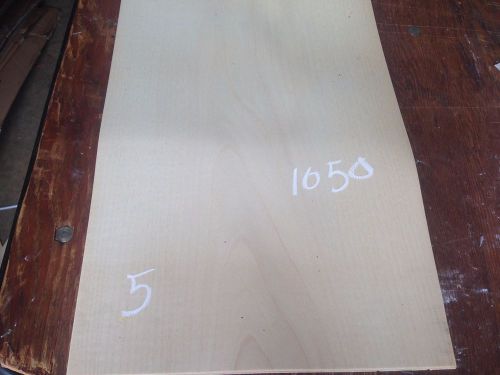 English  Sycamore  Veneer  76X12.5   TOTAL  5 pcs   RAW VENEER   1050..