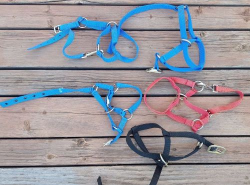 Llama Goat Halters