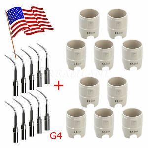 10* Dental Scaler Scaling Tips G4 Fit EMS WOODPECK&amp; 10* Scaler Wrench Key