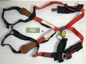 Buckingham Body Harness