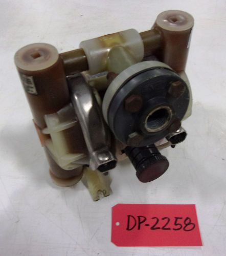 Wilden Pumps Poly 1&#034; Inlet 1&#034; Outlet Diaphragm Pump (DP2258)