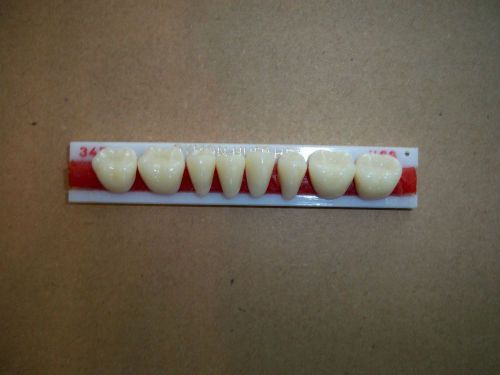 Dymon-hue hpt lower posteriors 1 x 8 plastic  denture teeth!! for sale